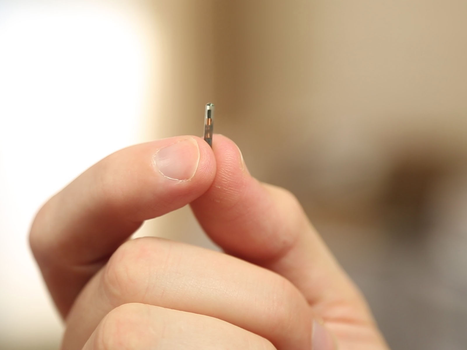 Dangerous Things xNT Implantat