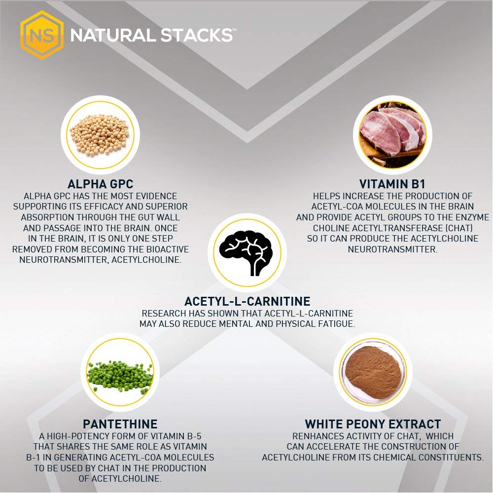 Natural Stacks Acetylcholine - Brain Food