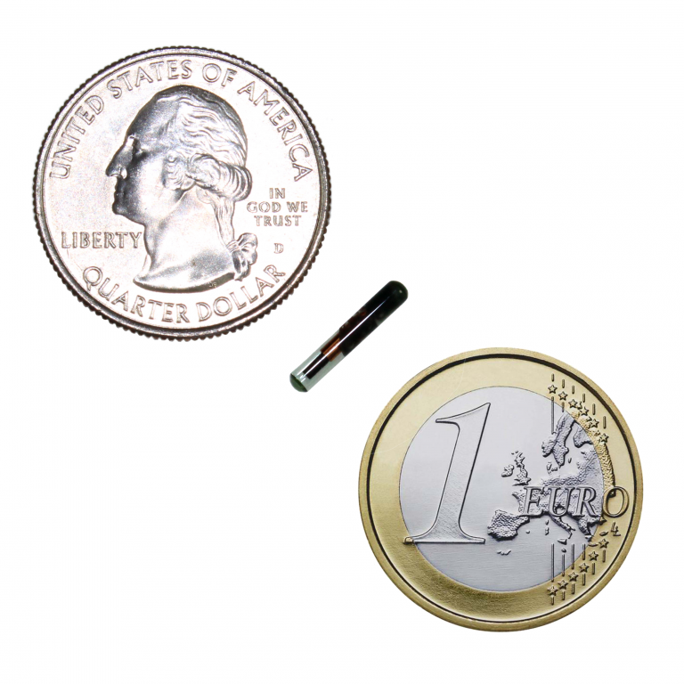 xSLX NFC Implantat