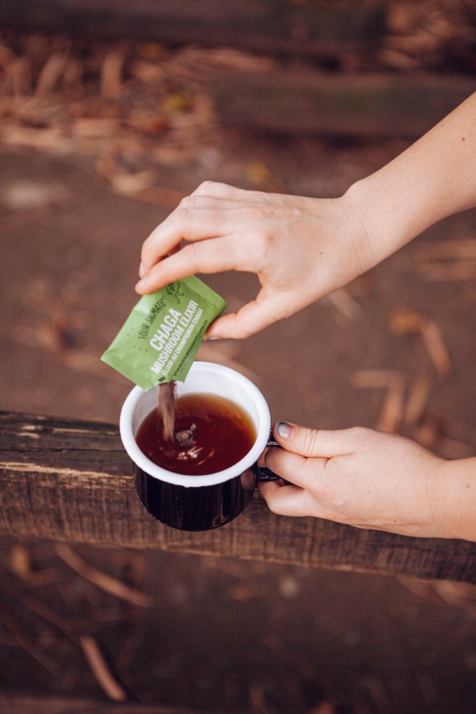 Four Sigmatic Chaga Mushroom Elixir - Immunsystem