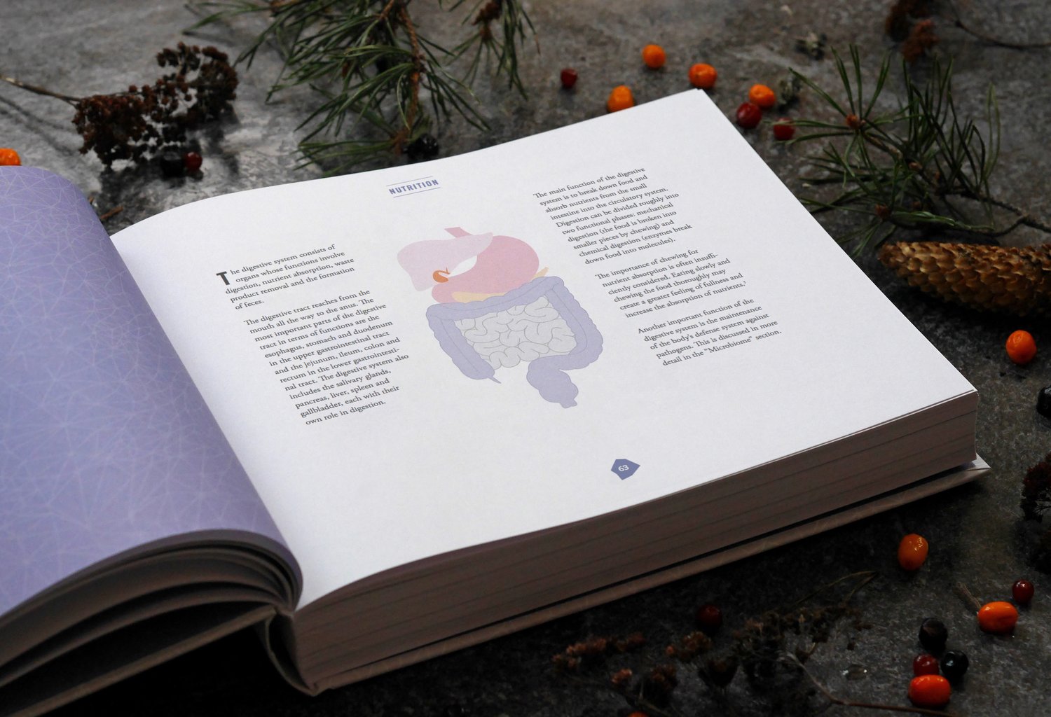 Biohacker's Handbook